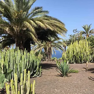 club-marazul.in-canary-islands.com/